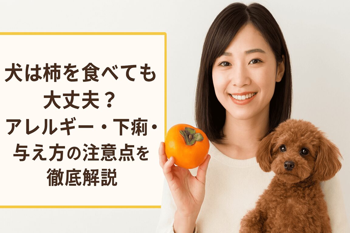 犬は柿を食べても大丈夫？アレルギー・下痢・与え方の注意点を徹底解説